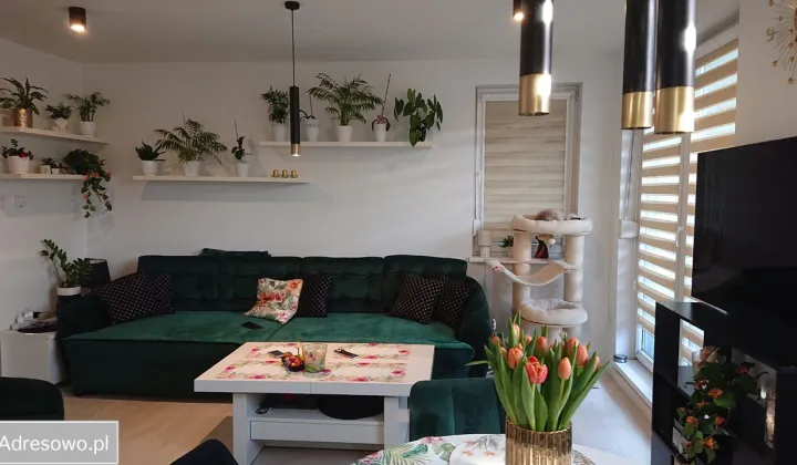 Mieszkanie 3-pokojowe Szczecin Prawobrzeże, ul. Seledynowa