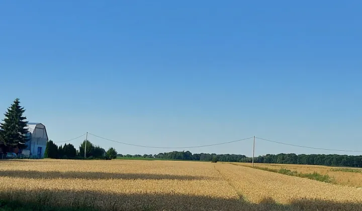 Działka rolna Wichrowice