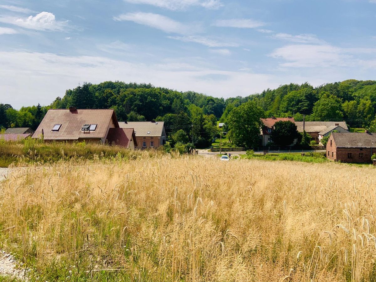 Działka budowlana Sieniawa. Zdjęcie 2