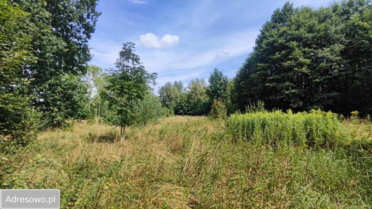 Działka rolna Secymin Polski. Zdjęcie 6