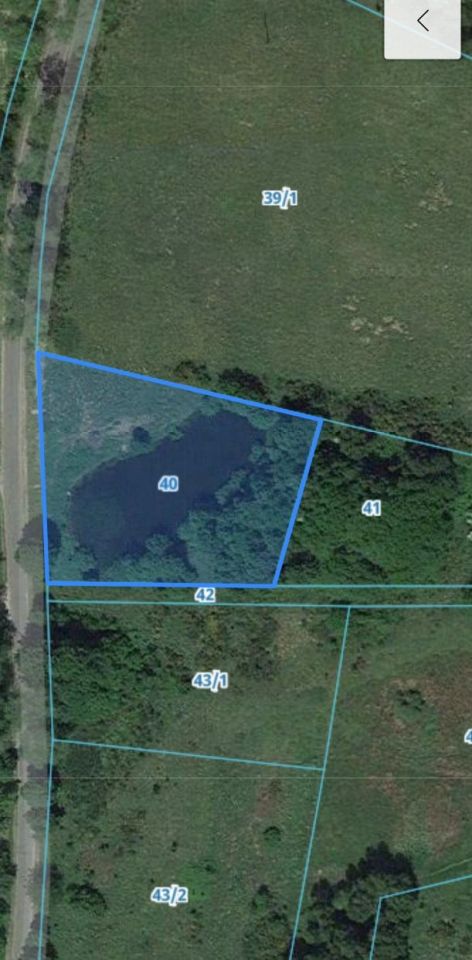 Działka rolna Wysokie. Zdjęcie 3