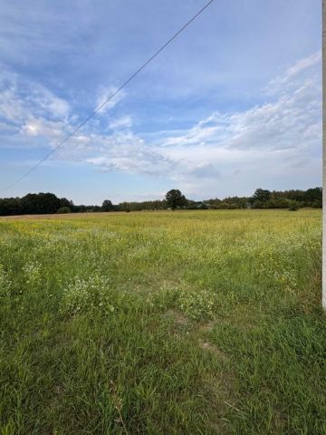 Działka rolno-budowlana Wężyk. Zdjęcie 1