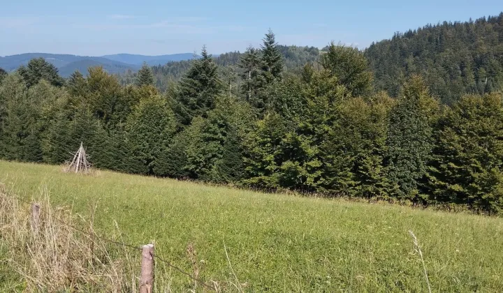 Działka budowlana Wisła Soszów, ul. Soszowska 9