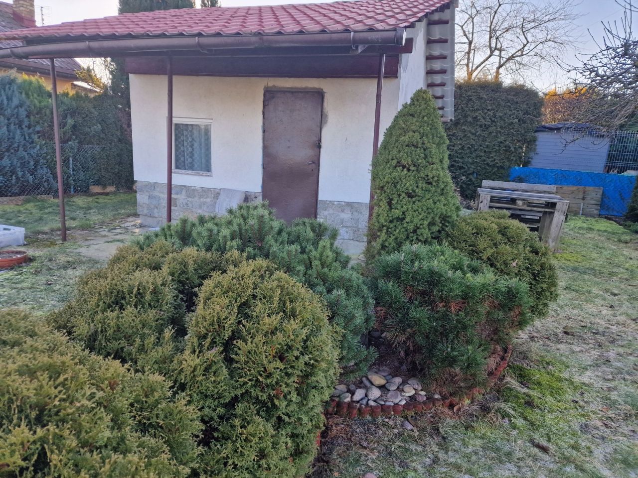 Działka rod Nowogard. Zdjęcie 3