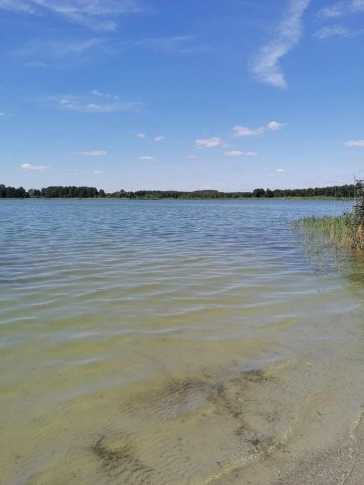 Działka rekreacyjna Miłachówek. Zdjęcie 4