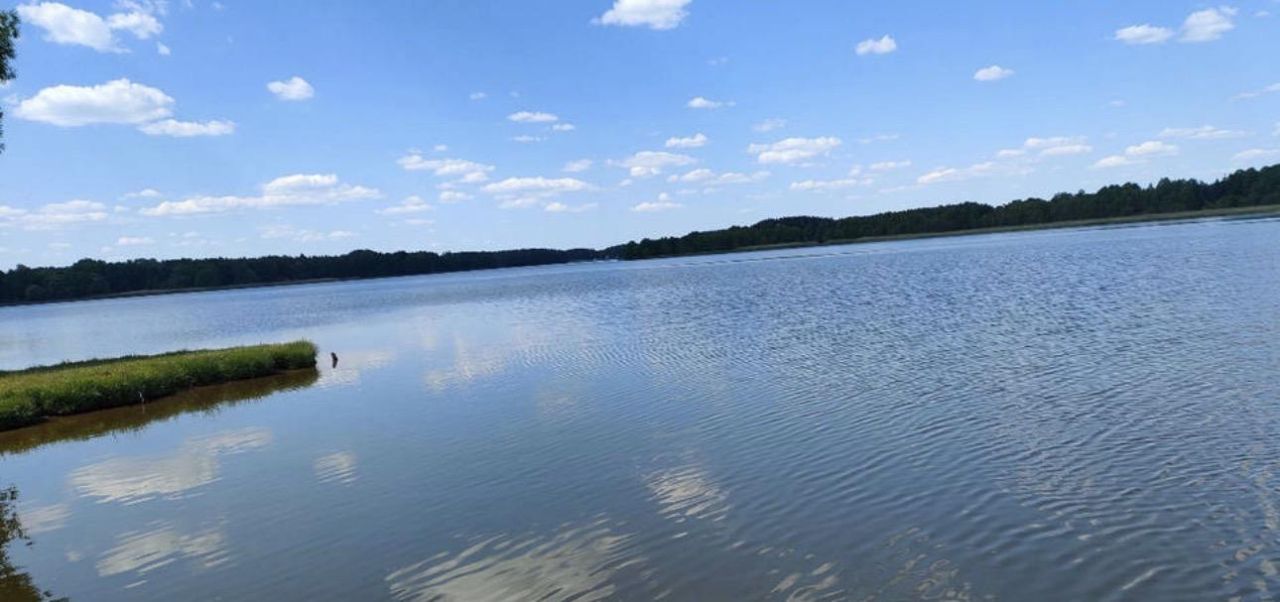 Działka budowlana Białasy. Zdjęcie 5