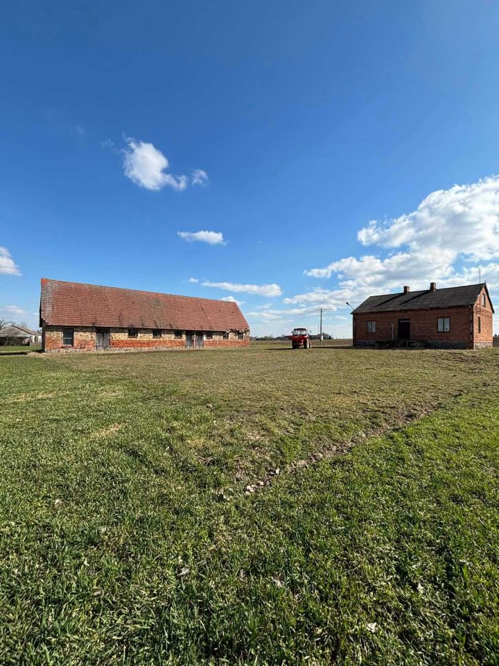 dom wolnostojący, 3 pokoje Grzybów Dolny. Zdjęcie 3