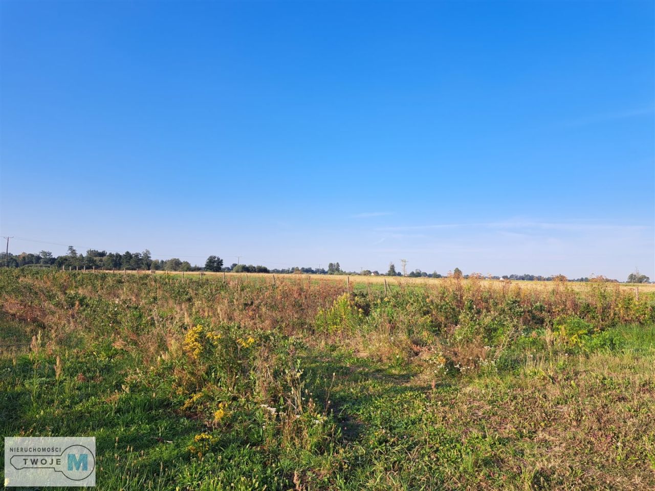 Działka rolna Czarzyzna. Zdjęcie 3