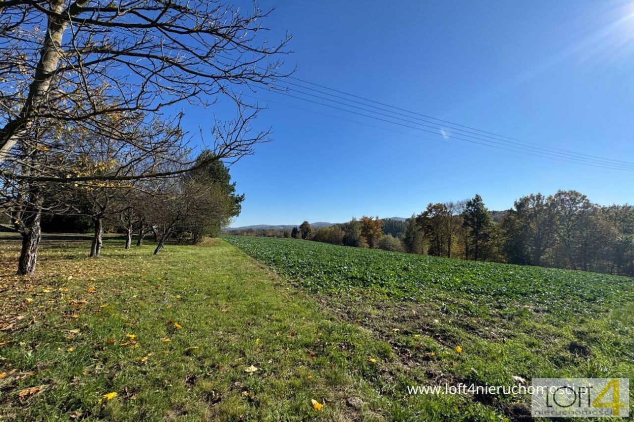 Działka budowlana Tuchów, ul. Ryglicka. Zdjęcie 8