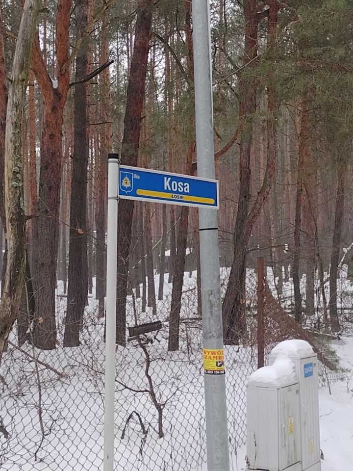 Działka budowlana Łosie. Zdjęcie 2