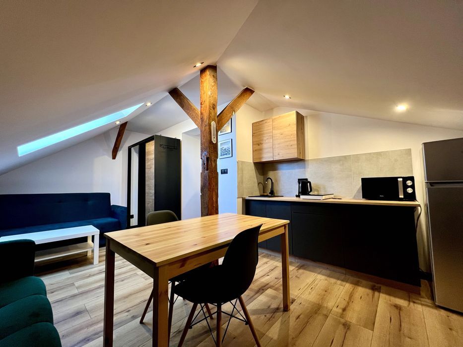 Mieszkanie 1-pokojowe Bielsko-Biała Śródmieście. Zdjęcie 1