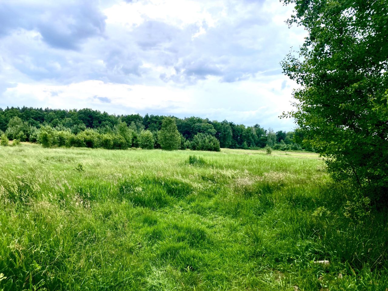 Działka rolna Zielona Góra Kiełpin, ul. Kiełpin