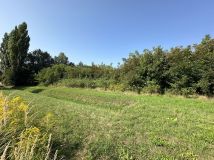 Działka inwestycyjna Piotrków Trybunalski Śródmieście, ul. Wilcza. Zdjęcie 2