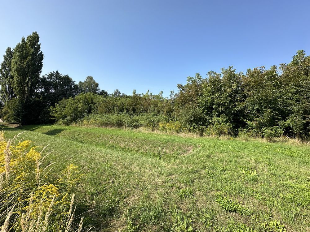 Działka inwestycyjna Piotrków Trybunalski Śródmieście, ul. Wilcza. Zdjęcie 3