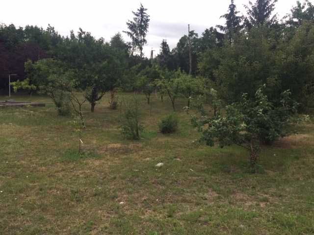 dom wolnostojący Skępe. Zdjęcie 8