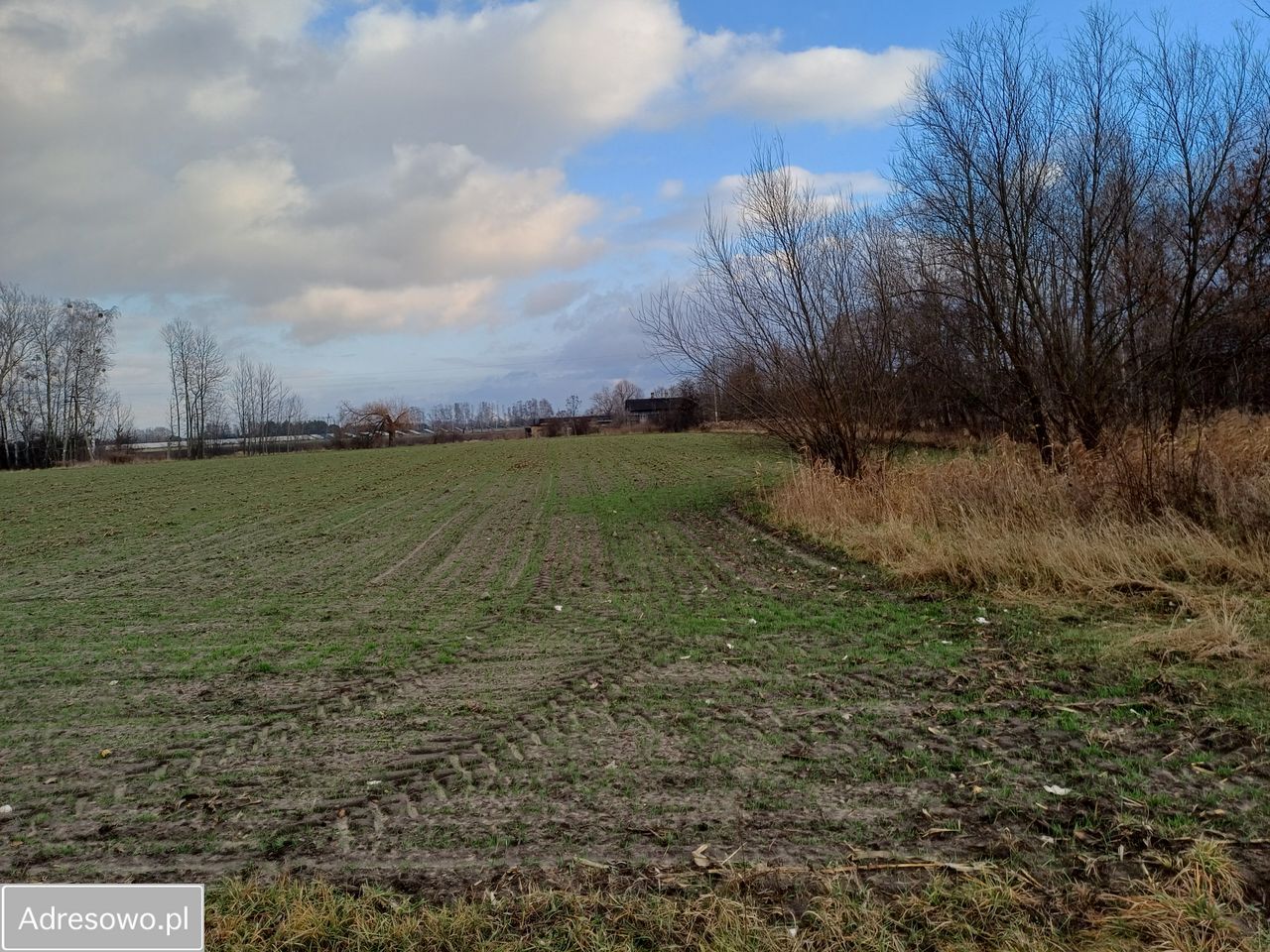 Działka rolna Kozery Nowe, ul. Popławska. Zdjęcie 10
