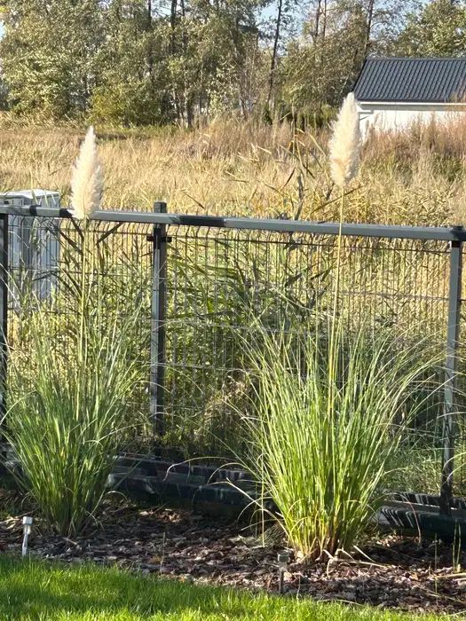 dom letniskowy, 3 pokoje Boszkowo-Letnisko, ul. Piaskowa. Zdjęcie 8