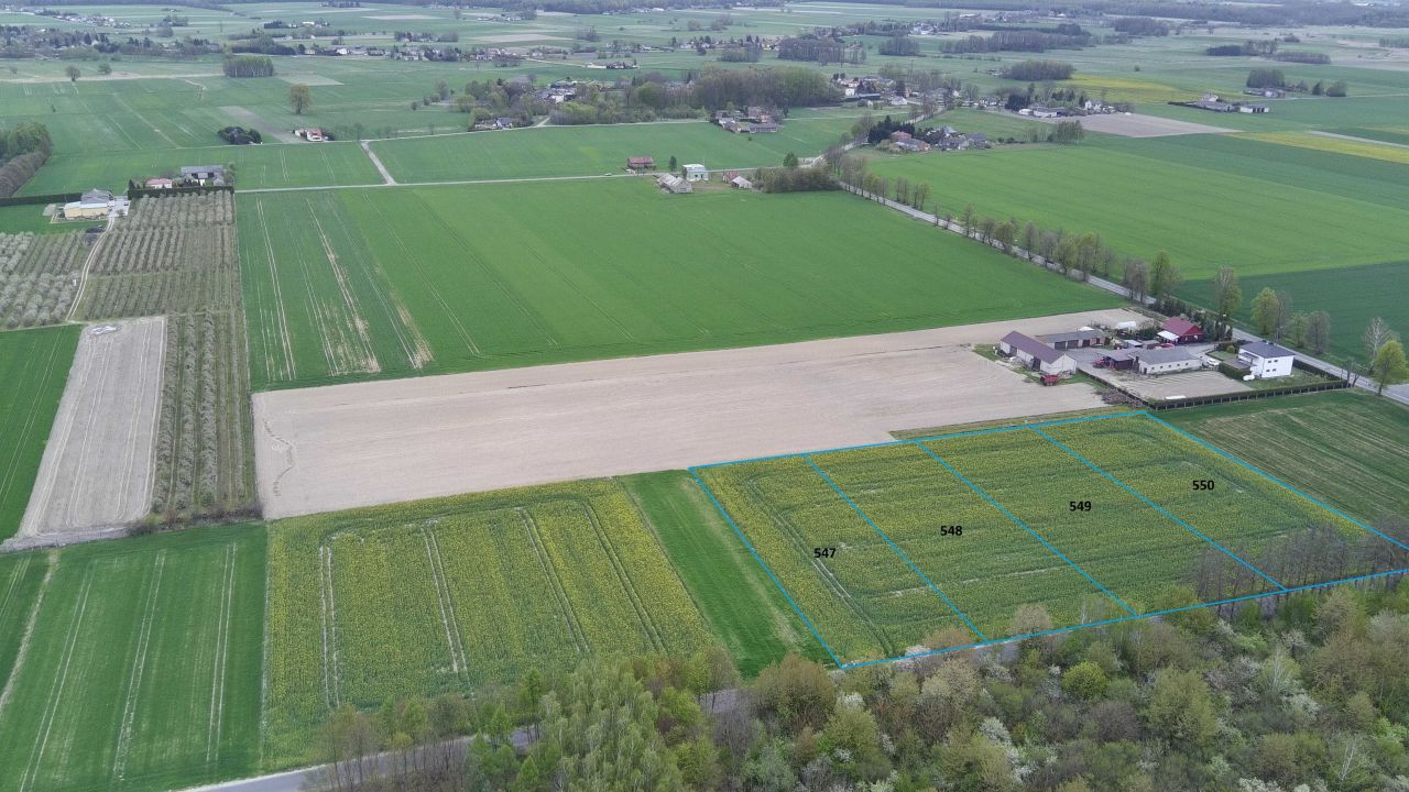 Działka rolno-budowlana Branica Radzyńska-Kolonia. Zdjęcie 3