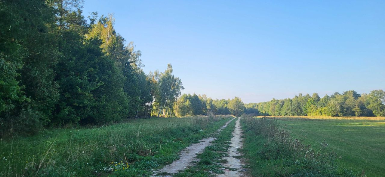 Działka budowlana Budy Ciepielińskie. Zdjęcie 4