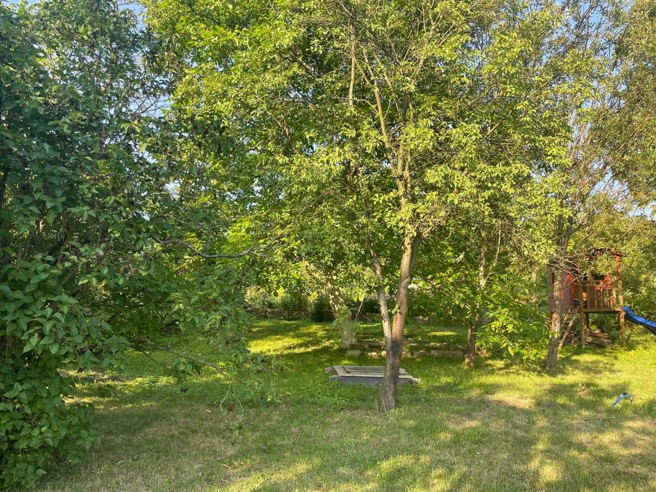 Działka rod Zielona Góra, ul. Andrzeja Struga. Zdjęcie 6