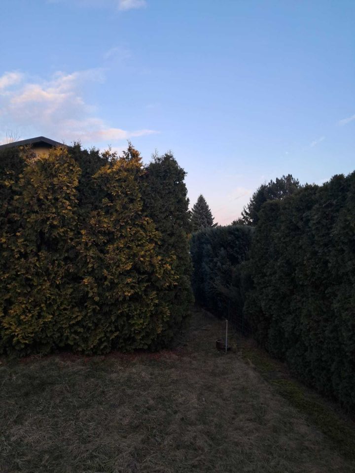 Działka rod Będzin Ksawera. Zdjęcie 5