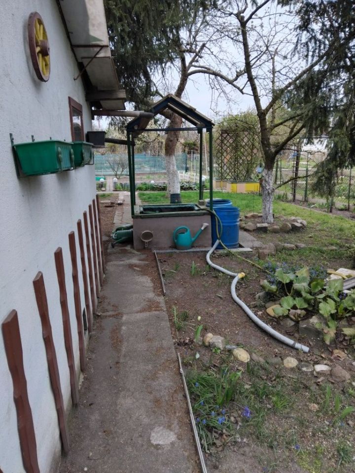 Działka rod Wrocław Księże Małe. Zdjęcie 4