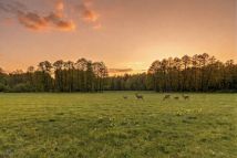 Działka budowlana Łaziska Górne Brada, ul. Cieszyńska. Zdjęcie 4