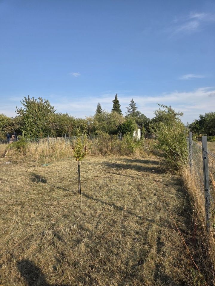 Działka rod Pieszyce, ul. Władysława Hermana. Zdjęcie 8