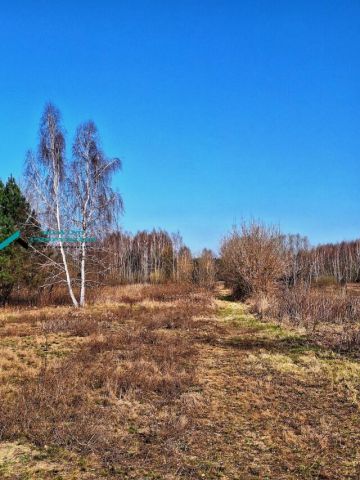 Działka rolno-budowlana Borzęcin Duży. Zdjęcie 2