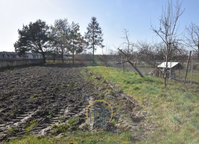 Działka siedliskowa Annobór-Kolonia. Zdjęcie 2
