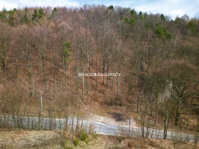 Działka leśna Jerzmanowice, ul. Zachodnia. Zdjęcie 4