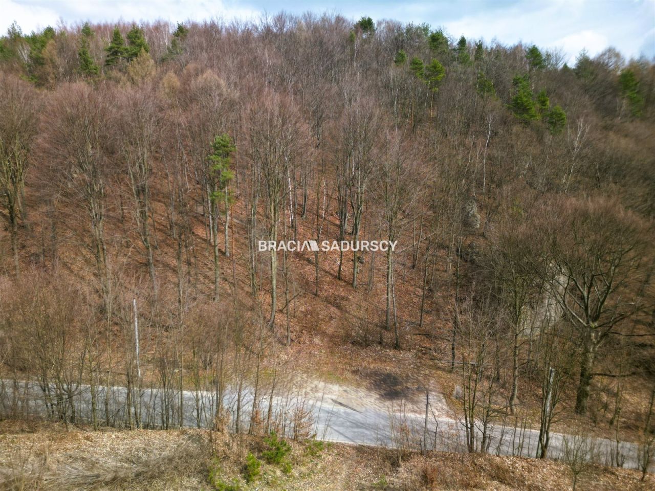 Działka leśna Jerzmanowice, ul. Zachodnia. Zdjęcie 4