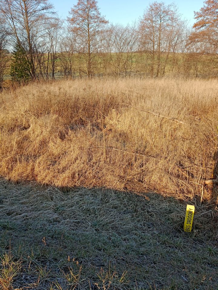 Działka budowlana Jedwabne. Zdjęcie 10