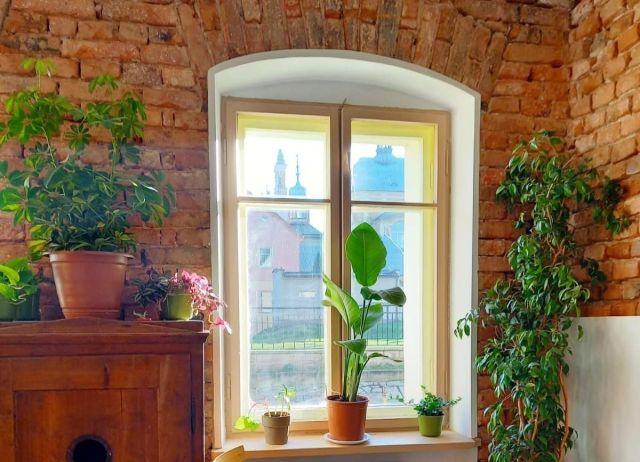 kamienica, 14 pokoi Wambierzyce, ul. ks. Tadeusza Michalika. Zdjęcie 5