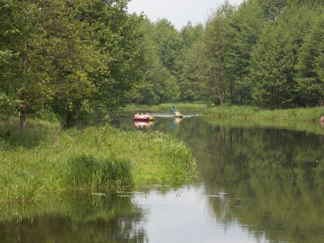 Działka budowlana Kuchary Żydowskie, Kuchary żydowksie. Zdjęcie 1
