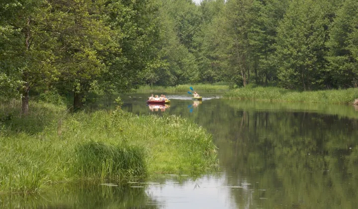 Działka budowlana Kuchary Żydowskie, Kuchary żydowksie