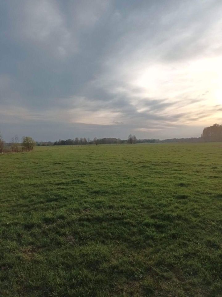 siedlisko Kolonia. Zdjęcie 3