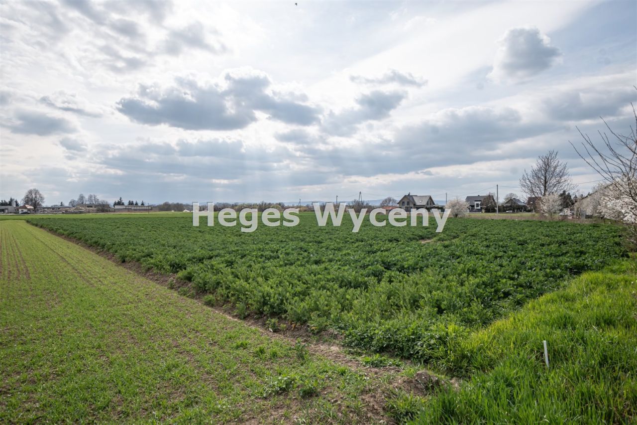 Działka inwestycyjna Snowidza. Zdjęcie 8