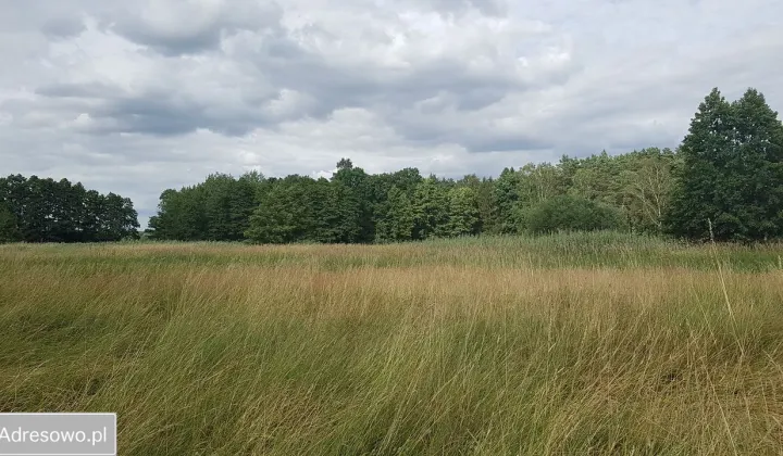 Działka inwestycyjna Zieleniewo, ul. ks. Jerzego Popiełuszki