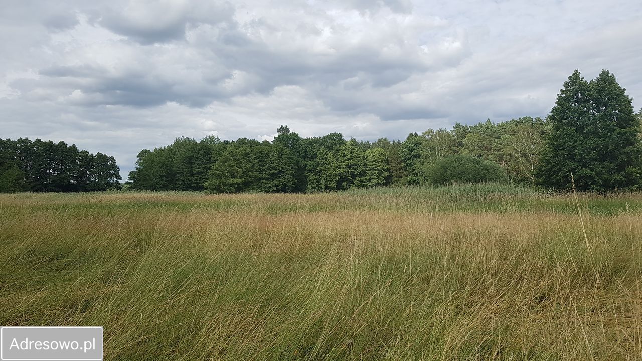 Działka inwestycyjna Zieleniewo, ul. ks. Jerzego Popiełuszki