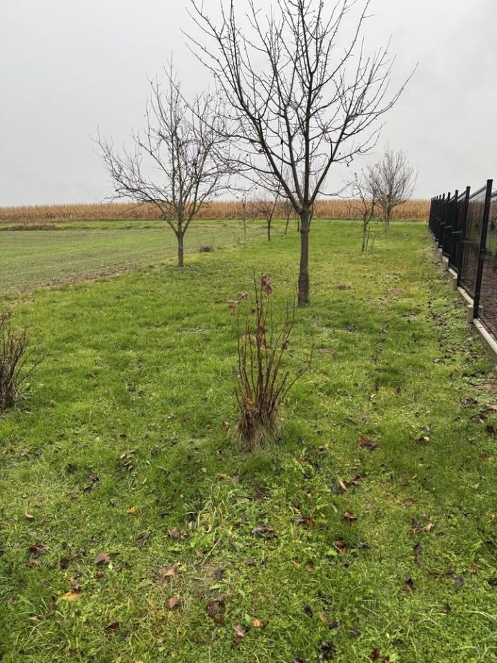 Działka rolna Stary Krasieniec. Zdjęcie 6