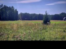 Działka budowlana Gorczyca. Zdjęcie 1