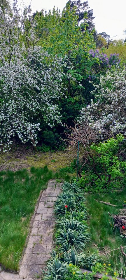 dom wolnostojący, 5 pokoi Otwock Świder, ul. Pogodna. Zdjęcie 25