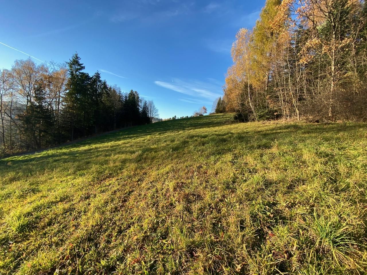 Działka budowlana Tokarnia. Zdjęcie 7