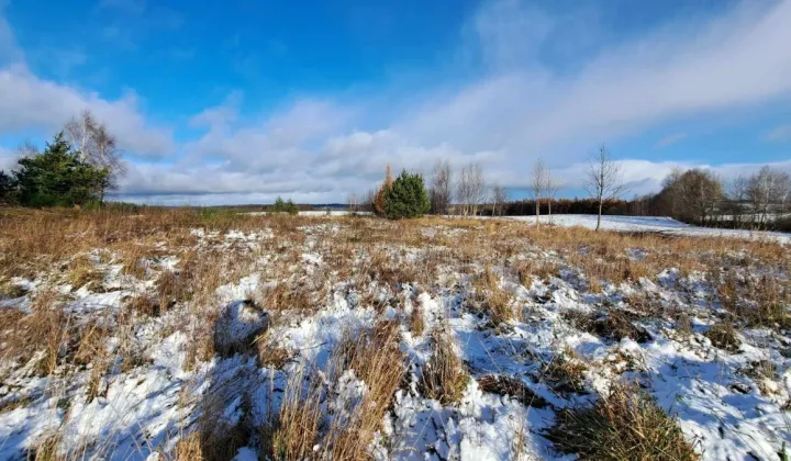 Działka siedliskowa Kielno, ul. Grzybowa