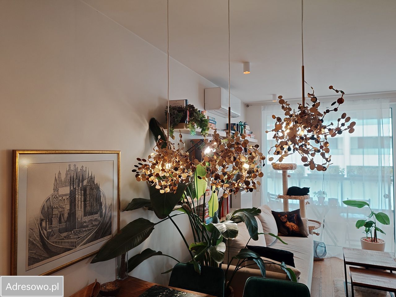 Mieszkanie 3-pokojowe Warszawa Targówek, ul. Witebska. Zdjęcie 15