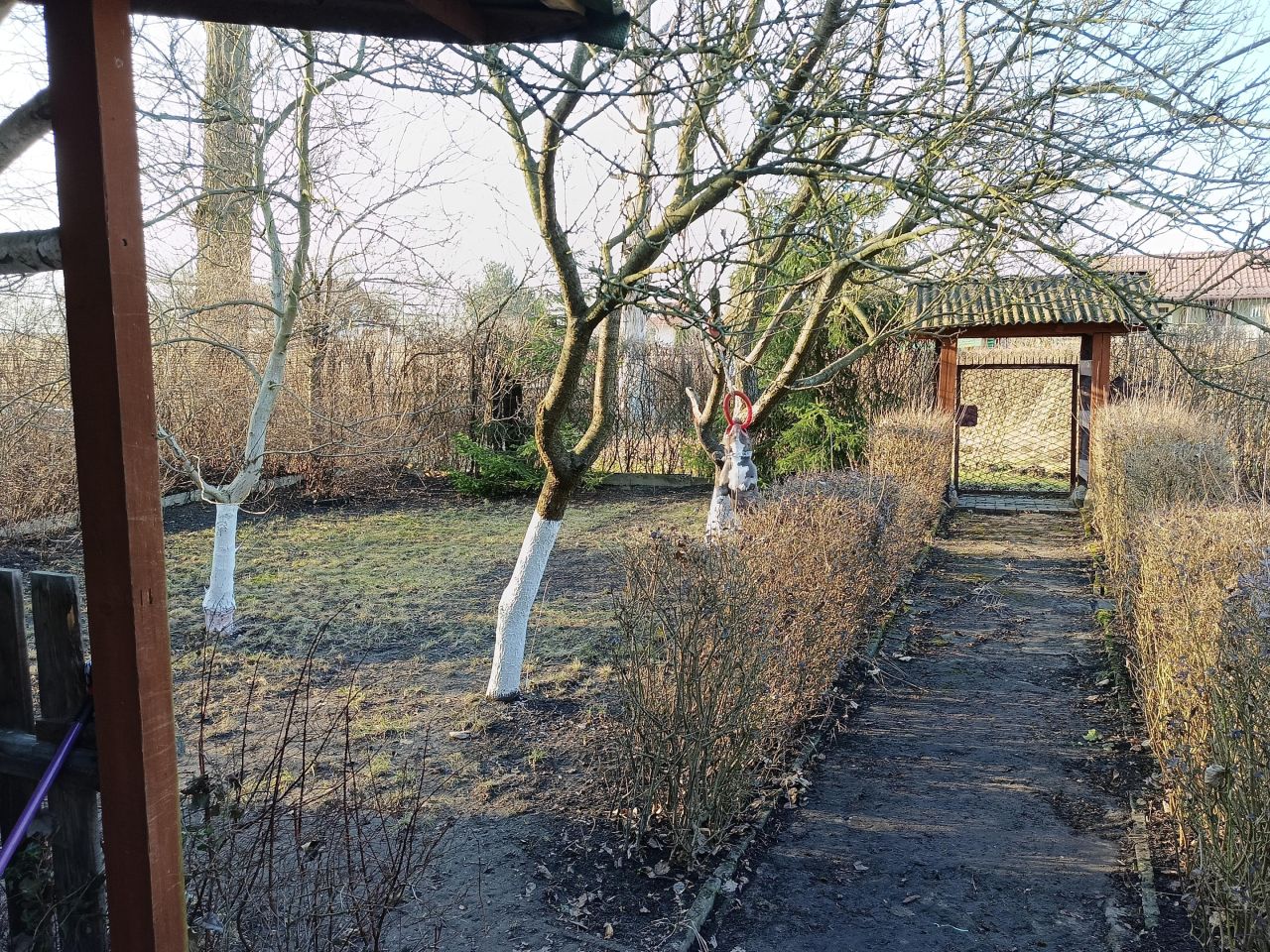 Działka rod Gliwice Sośnica, ul. Władysława Sikorskiego. Zdjęcie 7