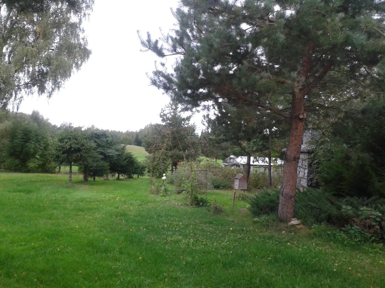 Działka inna Wólka, Wólka. Zdjęcie 10