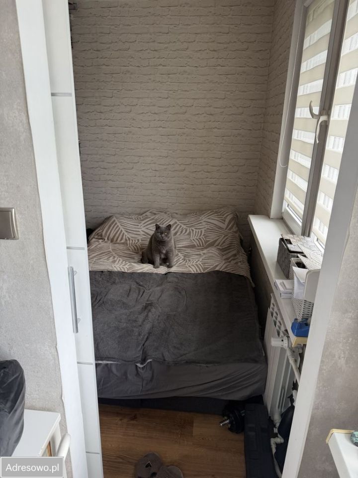 Mieszkanie 3-pokojowe Krotoszyn, ul. Kobylińska. Zdjęcie 9