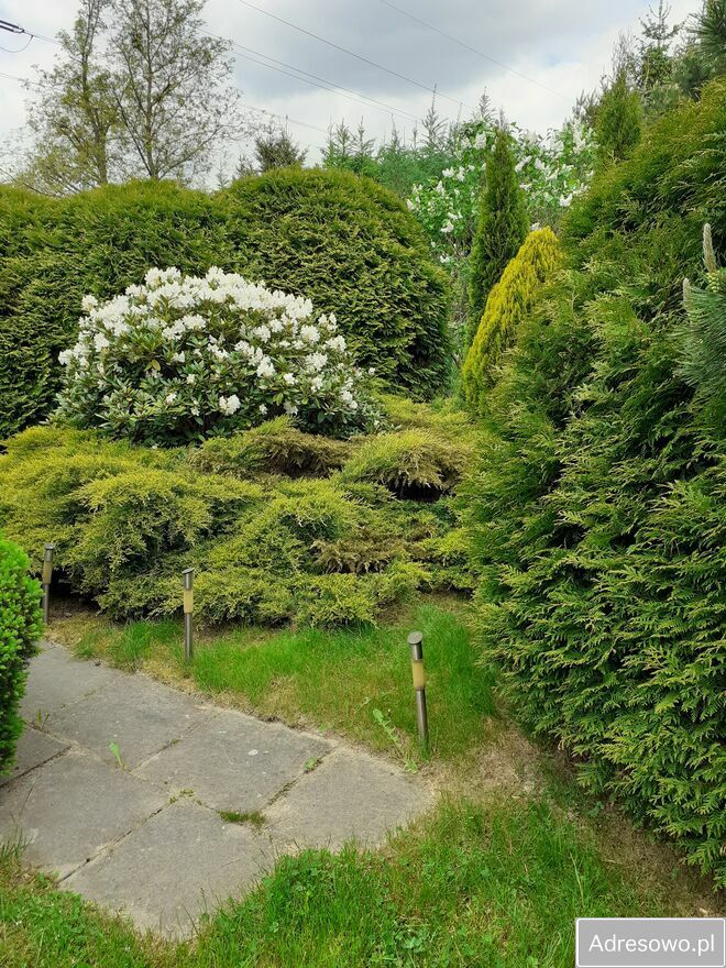 Działka rod Kraków Golikówka. Zdjęcie 3